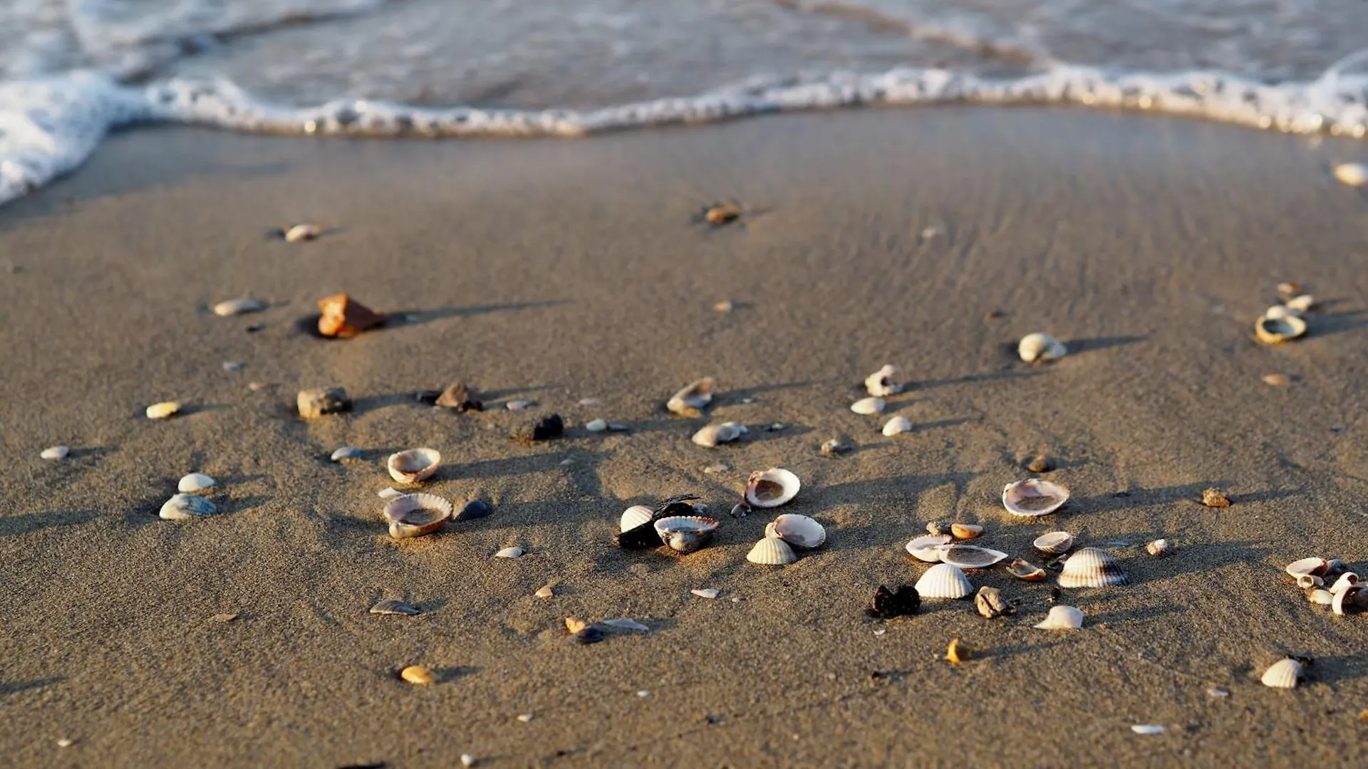 Lovely Beachfront 1 Bedroom Apartment - Beahost Bibione